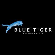 Blue Tiger Recovery